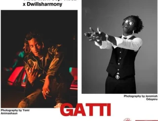 Vibez Inc – Gatti Ft Seyi Vibez & Dwillsharmony Mp3, Seyi Vibez, Gatti, Dwillsharmony