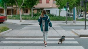 girl-walking-the-dog-alone-in-a-croswalk-1296x728-header-300x168 3 Ways On How To Become  More Private