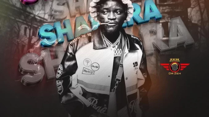 Portable – Shakara Oloje