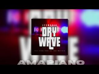 JFS Music – Dry Wave Ft. King Tone SA & SOA Mattrix