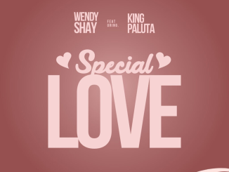 Wendy Shay – Special Love Ft King Paluta