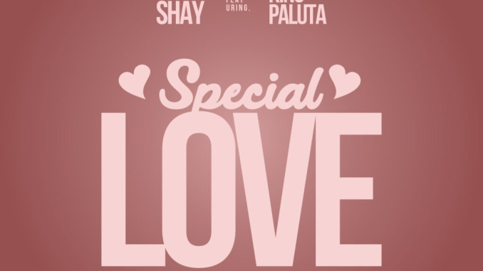 Wendy Shay – Special Love Ft King Paluta