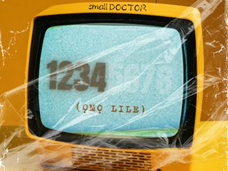 Small Doctor – 1234 (omo Lile)