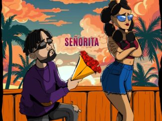 Farukagain – Senorita